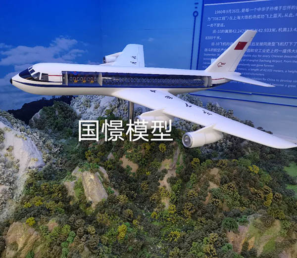 镇巴县飞机模型